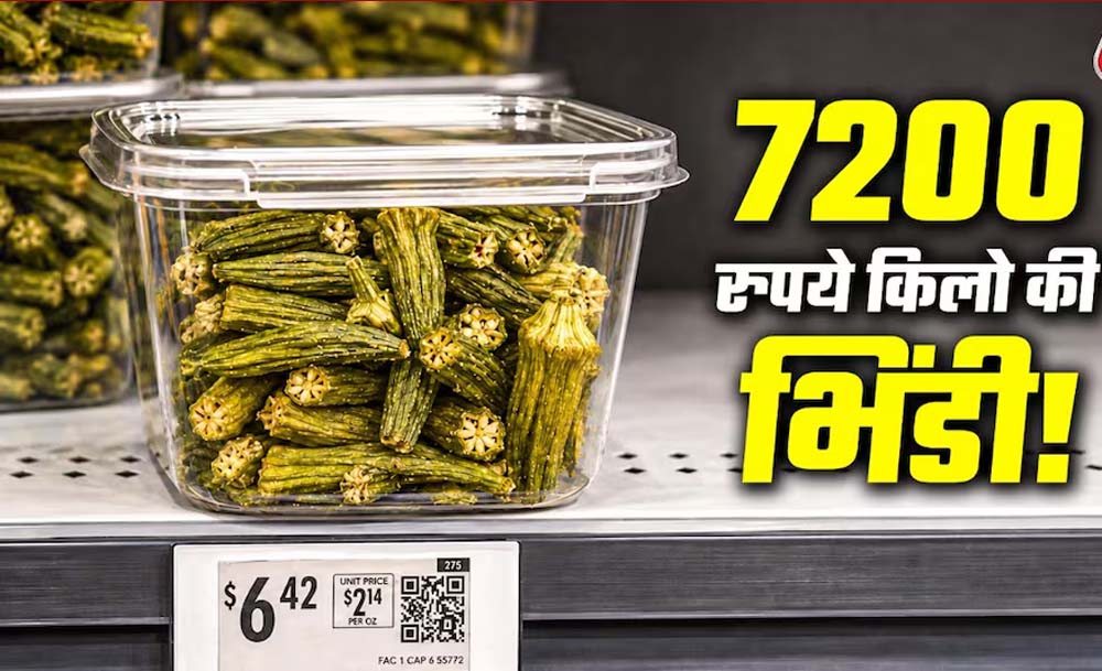 अमेरिका में 540 रुपये की भिंडी, कीमत सुनकर रह जाएंगे हैरान