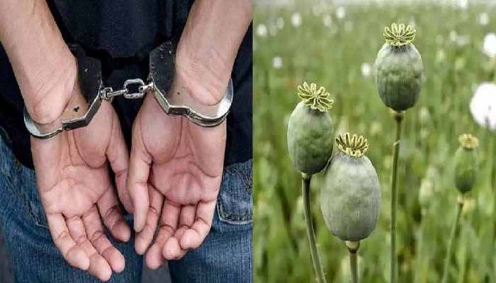 88.97 किलो अफीम मामले में पुलिसकर्मी की संलिप्तता, महकमे में हड़कंप