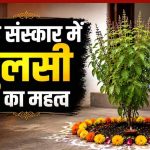 मृत्यु के बाद 13 दिन का रहस्य और तुलसी का महत्व, गरुड़ पुराण में छिपा जीवन का सच मृत्यु के बाद 13 दिन का रहस्य और तुलसी का महत्व, गरुड़ पुराण में छिपा जीवन का सच