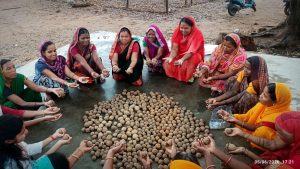 सीड बॉल से हरियाली की नई मुहिम, प्रकृति संरक्षण के जरिए ‘हरित जशपुर’ के निर्माण पर जोर सीड बॉल से हरियाली की नई मुहिम, प्रकृति संरक्षण के जरिए ‘हरित जशपुर’ के निर्माण पर जोर