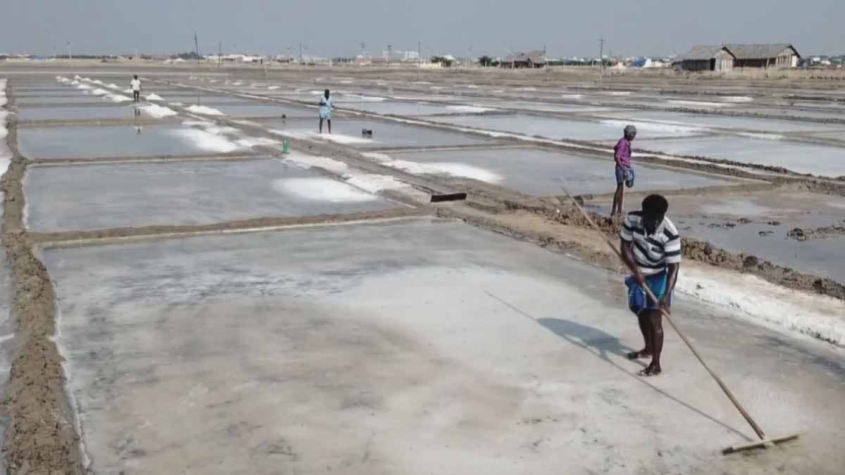 नमक उत्पादकों के लिए नए नियम, लीज नवीनीकरण और 6 माह की छूट मंजूर