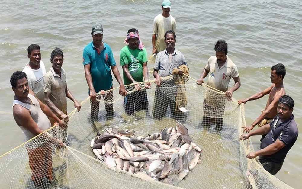 बरसात में मछलियों के प्रजनन को बचाने के लिए 15 अगस्त तक नहीं होगी मछली पकड़ने की अनुमति