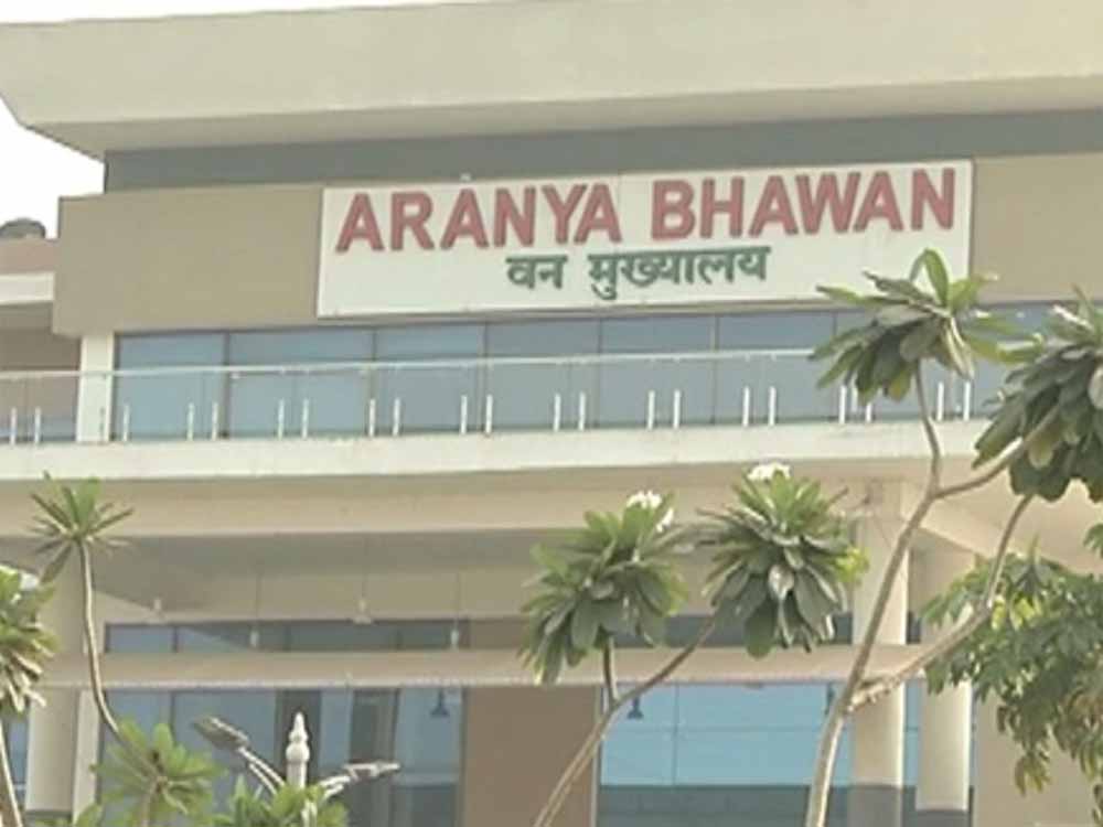 Chhattisgarh Forest Department में प्रशासनिक बदलाव, 4 वरिष्ठ IFS अधिकारियों के तबादले और नई तैनाती