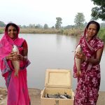 प्रधानमंत्री मत्स्य संपदा योजना से बढ़ रही किसानों की आय, आत्मनिर्भर बन रहे मत्स्यपालक
