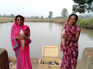 प्रधानमंत्री मत्स्य संपदा योजना से बढ़ रही किसानों की आय, आत्मनिर्भर बन रहे मत्स्यपालक