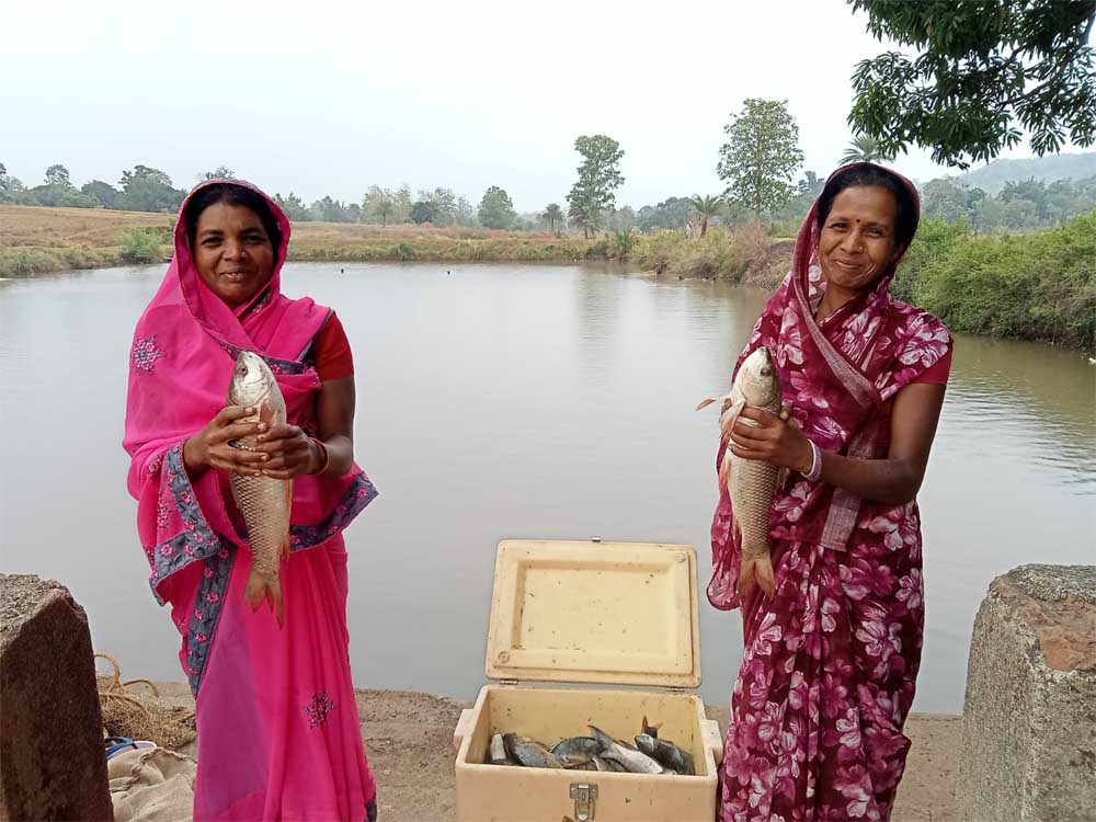 प्रधानमंत्री मत्स्य संपदा योजना से बढ़ रही किसानों की आय, आत्मनिर्भर बन रहे मत्स्यपालक प्रधानमंत्री मत्स्य संपदा योजना से बढ़ रही किसानों की आय, आत्मनिर्भर बन रहे मत्स्यपालक