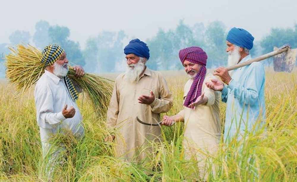 खेती को मिलेगा वैज्ञानिक आधार, हरियाणा में 52 नई प्रयोगशालाएं और किसानों पर 1468 करोड़ का निवेश