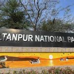 अब AI और ड्रोन रखेंगे पक्षियों पर नजर, सुल्तानपुर नेशनल पार्क में बनेगा डिजिटल डेटा बैंक