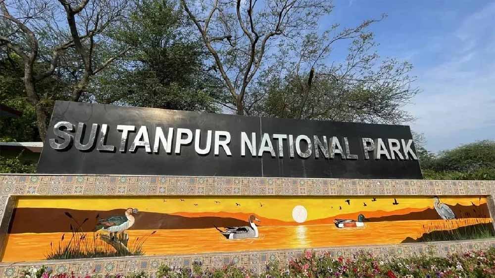 अब AI और ड्रोन रखेंगे पक्षियों पर नजर, सुल्तानपुर नेशनल पार्क में बनेगा डिजिटल डेटा बैंक