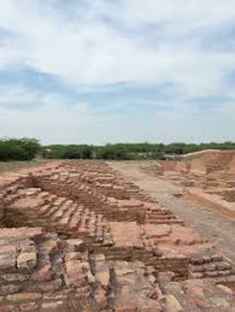 हरियाणा की ऐतिहासिक धरोहर को नया ठिकाना, तिगड़ाना में बनेगा मॉडर्न म्यूजियम हरियाणा की ऐतिहासिक धरोहर को नया ठिकाना, तिगड़ाना में बनेगा मॉडर्न म्यूजियम