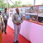 चीता परियोजना का जायजा लेने पहुंचीं राष्ट्रपति, चीता प्रदर्शिनी का भी किया अवलोकन