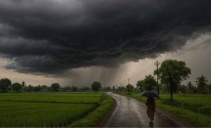 गर्मी से मिलेगी राहत! पंजाब में अगले 4 दिनों तक बारिश-आंधी की चेतावनी गर्मी से मिलेगी राहत! पंजाब में अगले 4 दिनों तक बारिश-आंधी की चेतावनी