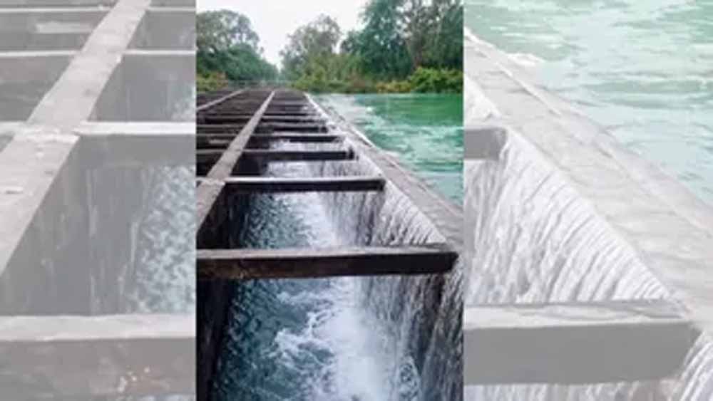 Punjab News: आनंदपुर साहिब की हाइडल नहर में ओवरफ्लो, ग्रामीणों में दहशत, प्रशासन ने शुरू की जांच Punjab News: आनंदपुर साहिब की हाइडल नहर में ओवरफ्लो, ग्रामीणों में दहशत, प्रशासन ने शुरू की जांच
