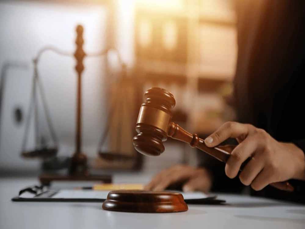 High Court Verdict: प्रोजेक्ट बंद होने पर संविदा वैज्ञानिक को नहीं मिली राहत, सेवा बहाली की याचिका खारिज