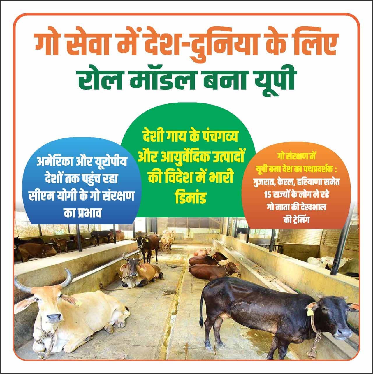 गो संरक्षण विशेष: अमेरिका और यूरोपीय देशों तक पहुंच रहा सीएम योगी के गो संरक्षण का प्रभाव