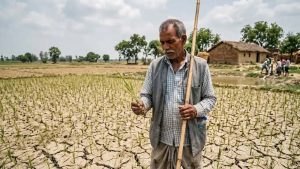 अल नीनो का असर, हरियाणा में मानसून की बारिश का बदला पैटर्न अल नीनो का असर, हरियाणा में मानसून की बारिश का बदला पैटर्न