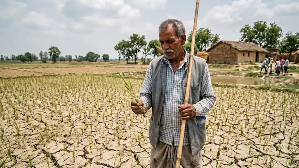 अल नीनो का असर, हरियाणा में मानसून की बारिश का बदला पैटर्न