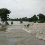 नेपाल में भारी बारिश का असर बिहार में, गंडक नदी का जलस्तर बढ़ा नेपाल में भारी बारिश का असर बिहार में, गंडक नदी का जलस्तर बढ़ा