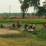छह जिलों के लाखों किसानों को मिलेगा सिंचाई संकट से छुटकारा