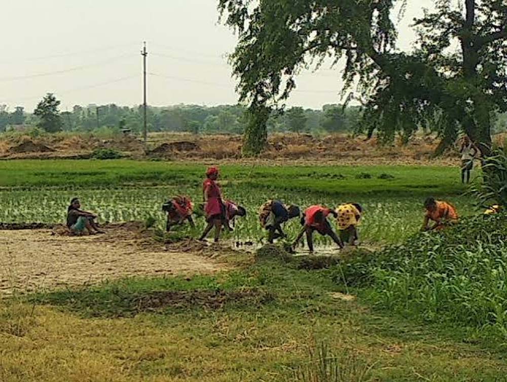 छह जिलों के लाखों किसानों को मिलेगा सिंचाई संकट से छुटकारा