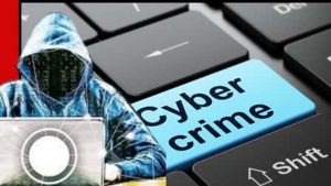 साइबर अपराध पर हरियाणा पुलिस की सख्ती, 31% धनवापसी के साथ जांच में बड़ी सफलता