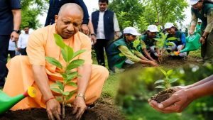 गोरखपुर से पौधरोपण महायज्ञ की शुरुआत करेंगे CM योगी, पर्यावरण संरक्षण को मिलेगा बढ़ावा गोरखपुर से पौधरोपण महायज्ञ की शुरुआत करेंगे CM योगी, पर्यावरण संरक्षण को मिलेगा बढ़ावा