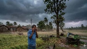 बारिश थमी तो झुलसने लगीं फसलें, बगहा में मौसम बदलने के आसार बारिश थमी तो झुलसने लगीं फसलें, बगहा में मौसम बदलने के आसार
