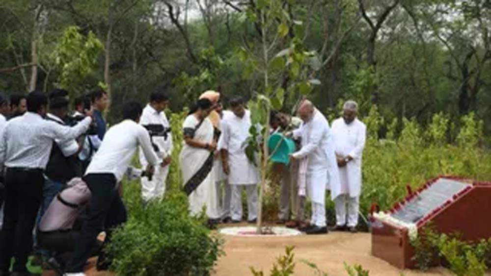 दिल्ली में 70 लाख पौधे लगाए जाएंगे, रिज क्षेत्र में लगेंगे पीपल, नीम और बरगद दिल्ली में 70 लाख पौधे लगाए जाएंगे, रिज क्षेत्र में लगेंगे पीपल, नीम और बरगद