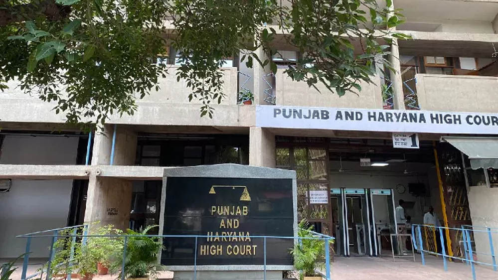 पंचकूला हिंसा केस में हरियाणा सरकार को झटका, हाई कोर्ट ने कहा- सरकार विरोधी नारे देशद्रोह की श्रेणी में नहीं पंचकूला हिंसा केस में हरियाणा सरकार को झटका, हाई कोर्ट ने कहा- सरकार विरोधी नारे देशद्रोह की श्रेणी में नहीं
