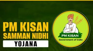 PM किसान सम्मान निधि की 24वीं किस्त जल्द, किसानों के खाते में कब आएंगे पैसे? जानिए पूरी डिटेल PM किसान सम्मान निधि की 24वीं किस्त जल्द, किसानों के खाते में कब आएंगे पैसे? जानिए पूरी डिटेल
