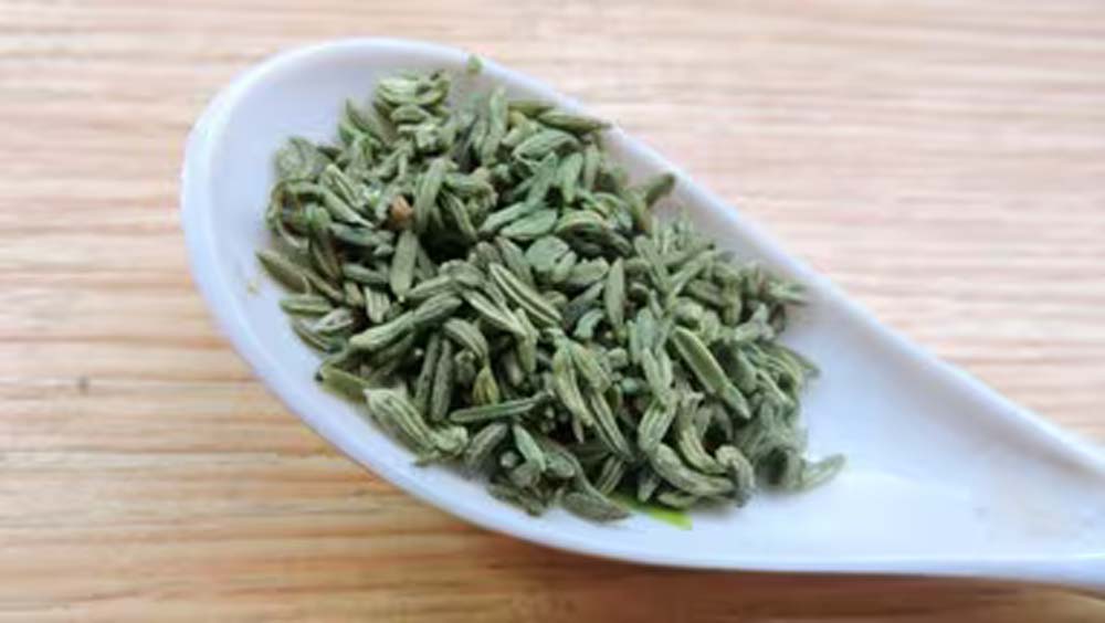 सौंफ खरीदते समय रहें सावधान, नकली हरी सौंफ से बचने के तरीके