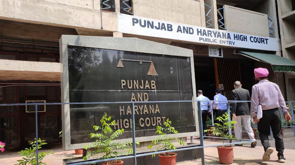 हाई कोर्ट का बड़ा आदेश बरकरार, जिला बोर्ड की सेवा भी पेंशन गणना में होगी शामिल हाई कोर्ट का बड़ा आदेश बरकरार, जिला बोर्ड की सेवा भी पेंशन गणना में होगी शामिल