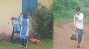 एक पेड़ माँ के नाम के लिए नाला पार कर रहे थे नौनिहाल