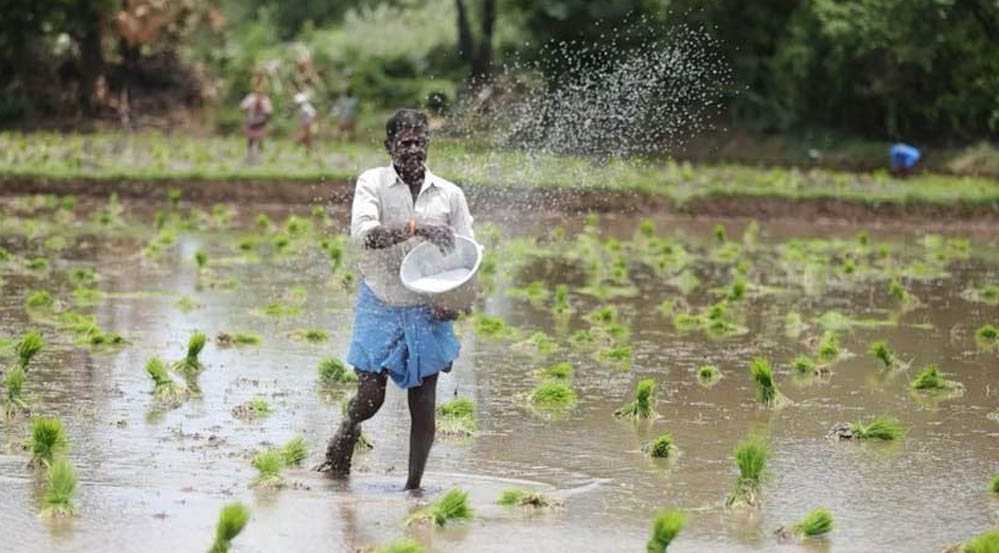 मानसून से किसानों के चेहरे खिले, छत्तीसगढ़ में 33.50 लाख हेक्टेयर में बोनी का लक्ष्य 69% पूरा मानसून से किसानों के चेहरे खिले, छत्तीसगढ़ में 33.50 लाख हेक्टेयर में बोनी का लक्ष्य 69% पूरा