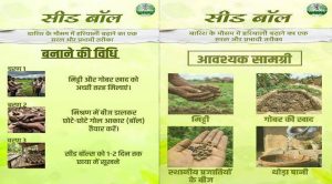 जनभागीदारी से साकार हो रहा हरित छत्तीसगढ़ का संकल्प जनभागीदारी से साकार हो रहा हरित छत्तीसगढ़ का संकल्प