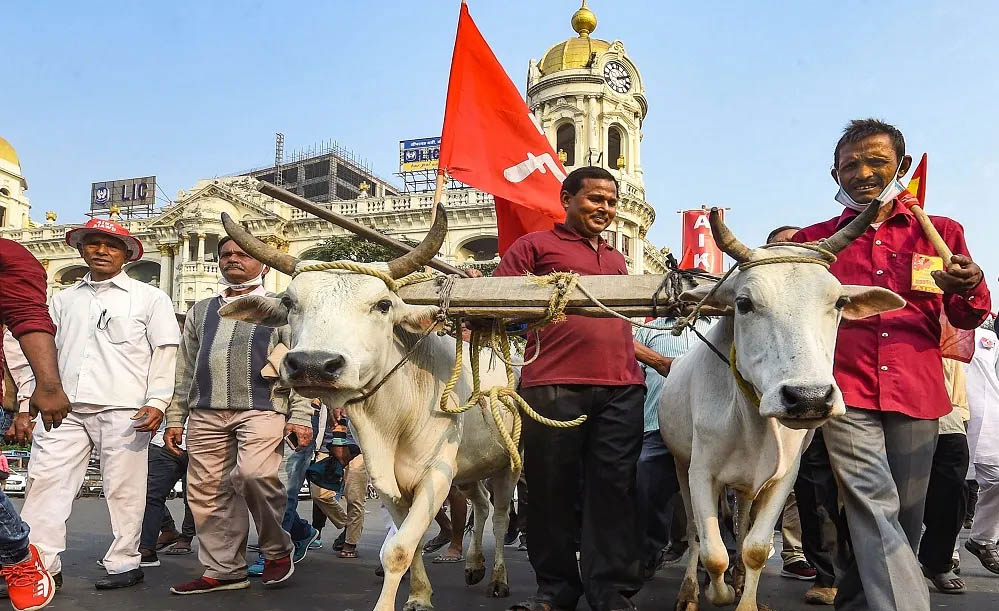 आठ दिन में समाधान नहीं हुआ तो कलेक्ट्रेट पर धरना देंगे किसान, कलेक्टर दिया चेतावनी भरा आवेदन आठ दिन में समाधान नहीं हुआ तो कलेक्ट्रेट पर धरना देंगे किसान, कलेक्टर दिया चेतावनी भरा आवेदन