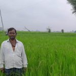 गलत धान बीज से किसानों की लाखों की फसल चौपट, फर्म संचालक पर कार्रवाई की मांग
