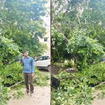 मुख्यमंत्री हेल्पलाइन का असर, विद्युत लाइन से सटी पेड़ की डालियां हटाकर संभावित दुर्घटना रोकी गई