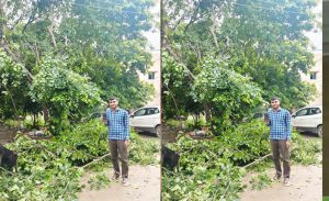 मुख्यमंत्री हेल्पलाइन का असर, विद्युत लाइन से सटी पेड़ की डालियां हटाकर संभावित दुर्घटना रोकी गई