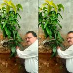 अधिमान्य पत्रकार नेतृत्व समिति के प्रदेश अध्यक्ष प्रीतम वर्मन ने लगाया एक वृक्ष