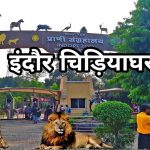 इंदौर प्राणी संग्रहालय को मिलेगा नया मेहमान, गैंडों की जोड़ी और दरियाई घोड़ा ‘सतीश’ बनेगा आकर्षण का केंद्र इंदौर प्राणी संग्रहालय को मिलेगा नया मेहमान, गैंडों की जोड़ी और दरियाई घोड़ा ‘सतीश’ बनेगा आकर्षण का केंद्र