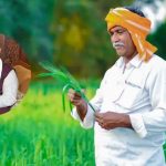 राजस्थान बनेगा प्राकृतिक खेती का केंद्र, एक लाख हेक्टेयर क्षेत्र में बढ़ेगा जैविक कृषि का दायरा