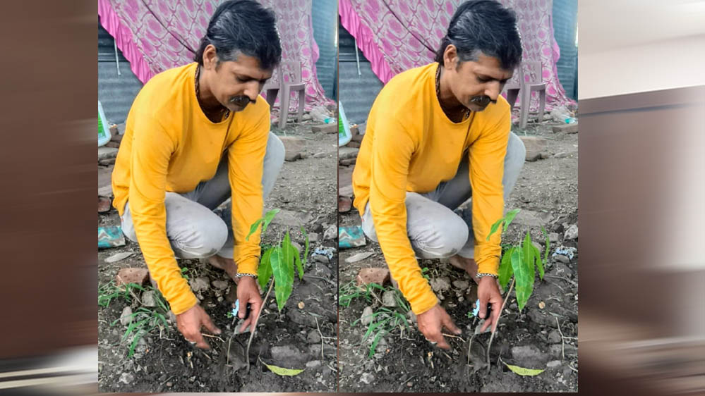 इंदौर संभागीय अध्यक्ष ओम प्रकाश ठाकुर ने आम के वृक्ष देवास में लगाए