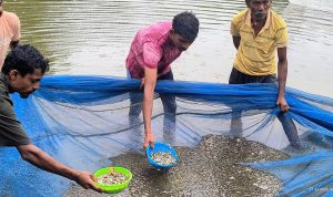 बस्तर की मनकी बघेल बनीं मिसाल, स्पान संवर्धन योजना से सिर्फ 2 महीने में कमाए ₹15 हजार