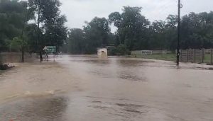 MP में स्ट्रॉन्ग मानसूनी सिस्टम एक्टिव, बालाघाट में मूसलाधार बारिश से हालात बिगड़े; 15 जिलों के लिए रेड अलर्ट जैसे हालात