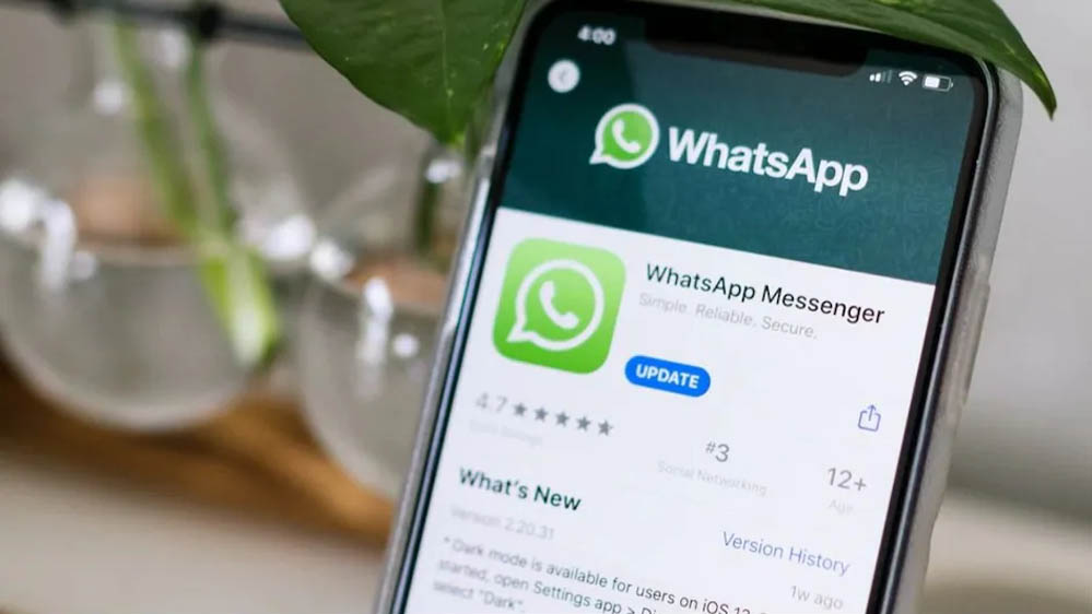 WhatsApp का नया Username फीचर कितना सुरक्षित? कंपनी ने 7 सवालों के दिए जवाब, फ्रॉड पर भी किया साफ़ खुलासा WhatsApp का नया Username फीचर कितना सुरक्षित? कंपनी ने 7 सवालों के दिए जवाब, फ्रॉड पर भी किया साफ़ खुलासा