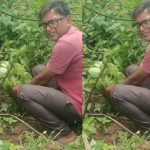 जबलपुर पूर्व प्रदेश अध्यक्ष सुनील कुमार राय ने पीपल के वृक्ष मझौली में लगाए