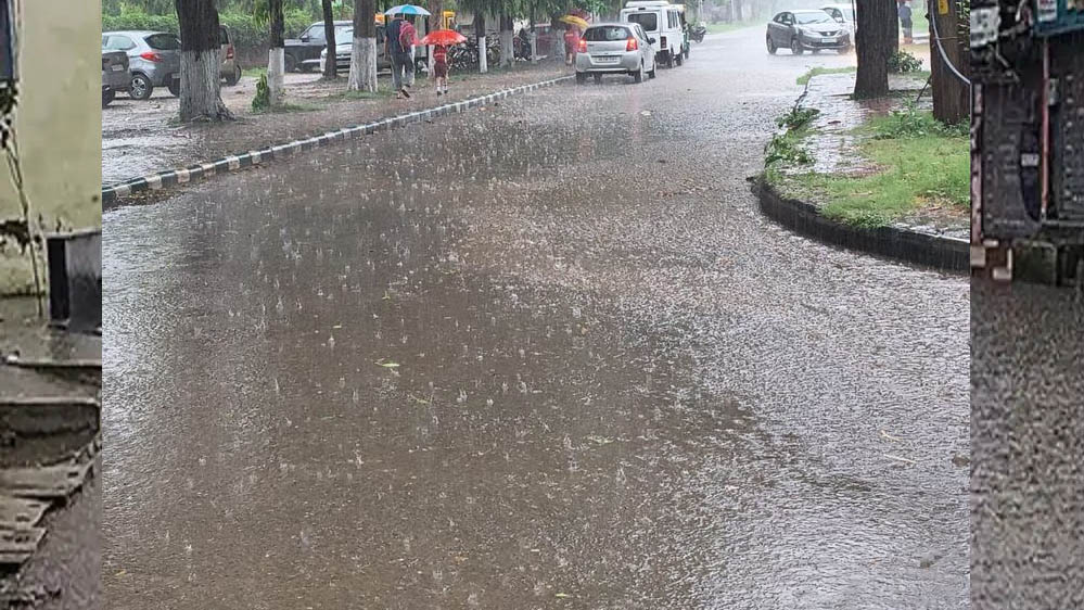 पंजाब में बारिश से बदला मौसम, लुधियाना समेत कई जिलों में राहत; अगले 48 घंटे के लिए ऑरेंज अलर्ट जारी
