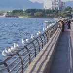 नालों का गंदा पानी रुकेगा, आनासागर झील शुद्धिकरण कार्य जल्द शुरू नालों का गंदा पानी रुकेगा, आनासागर झील शुद्धिकरण कार्य जल्द शुरू