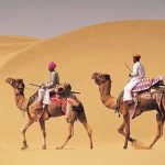 राजस्थान में ऊंट संरक्षण की नई मुहिम, दूध और उत्पादों से बढ़ेगी पशुपालकों की आय